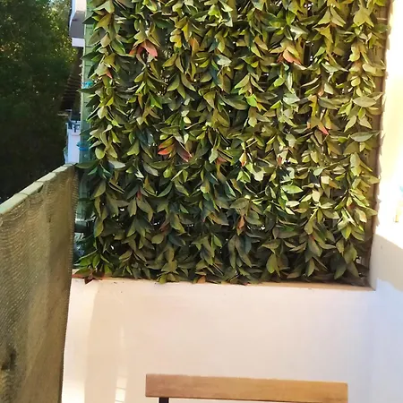 Oda ve Kahvaltı Linda's Roma